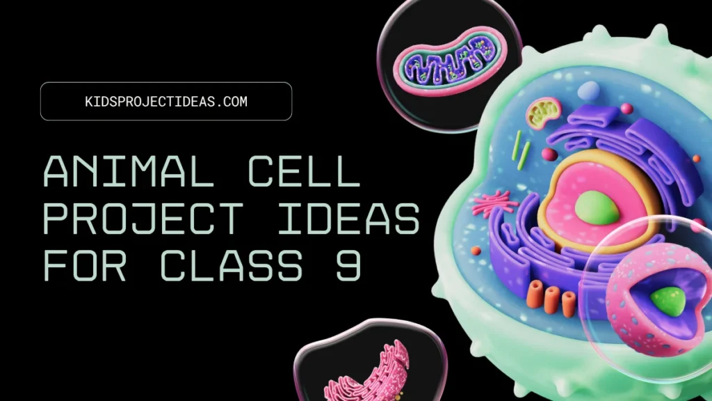 Animal Cell Project Ideas For Class 9
