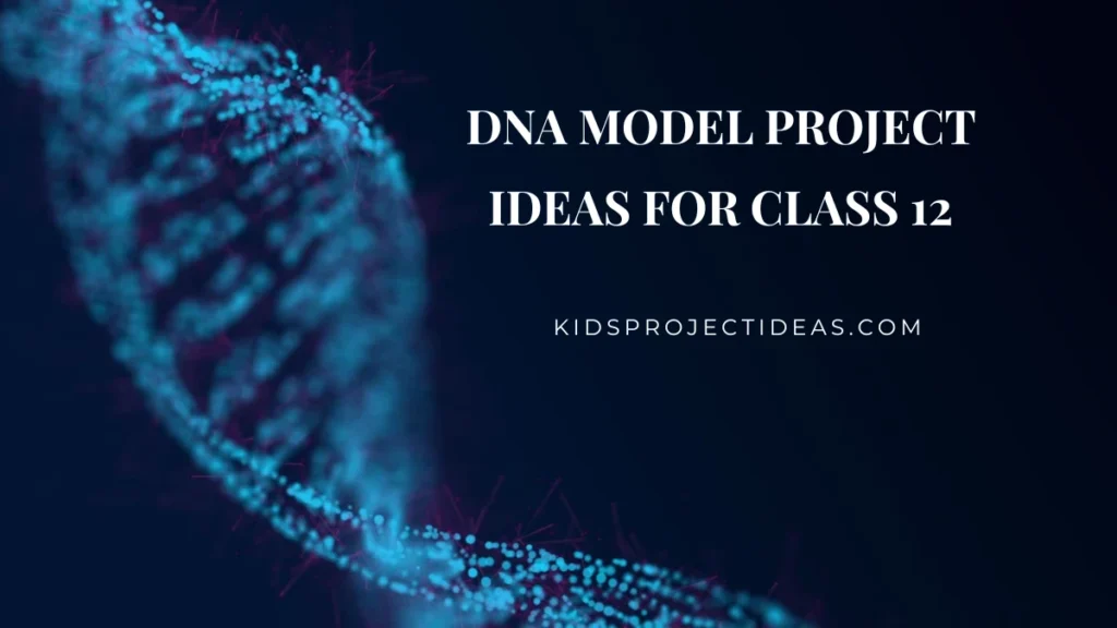 DNA Model Project Ideas For Class 12