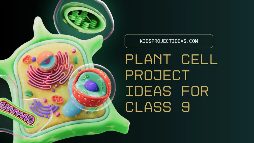 Plant Cell Project Ideas For Class 9