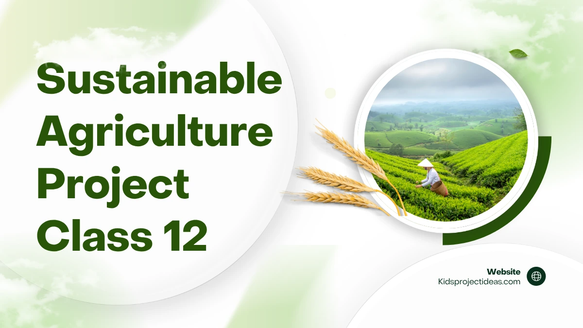 Sustainable Agriculture Project Class 12