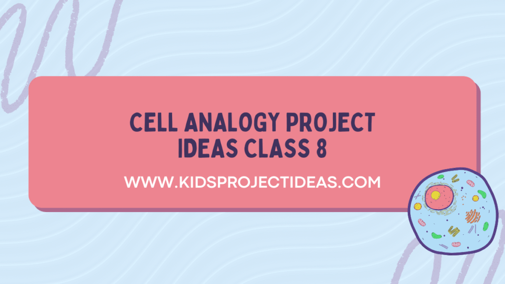cell analogy project ideas class 8